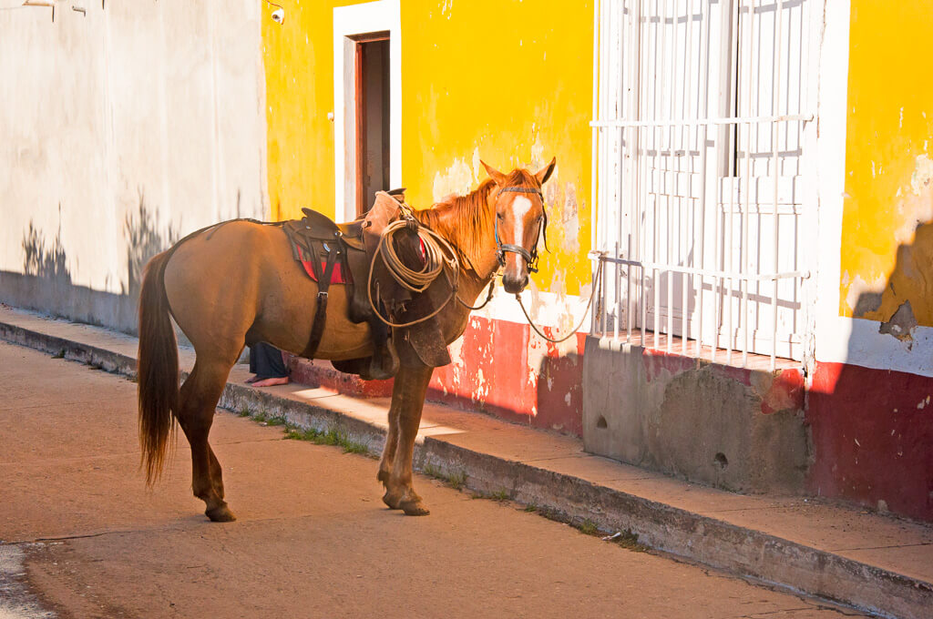 Kolmella sanalla: ihana, ihanampi, ihanin Trinidad.