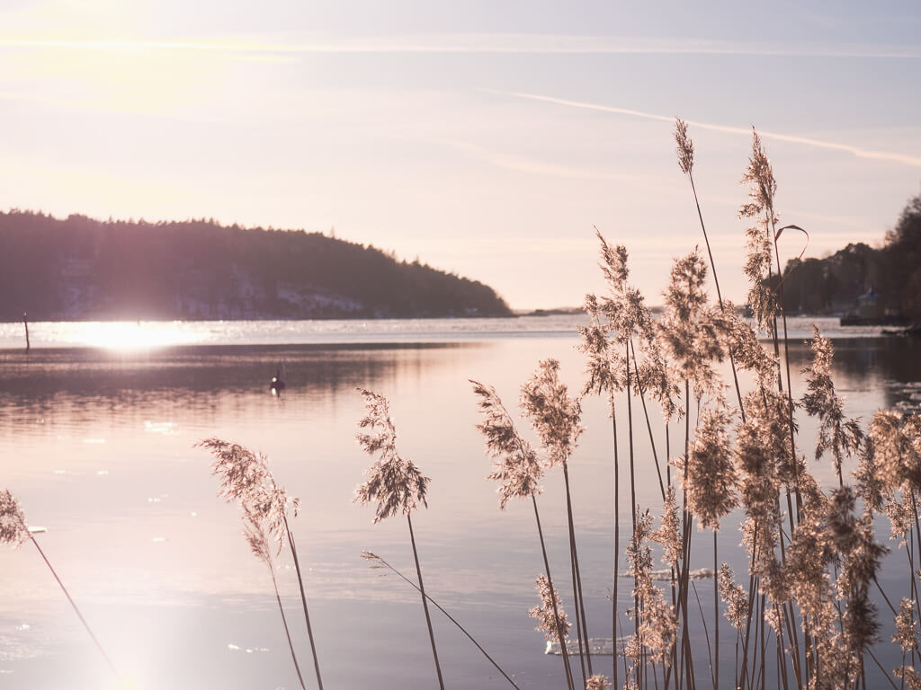 Turku ruissalo avanto