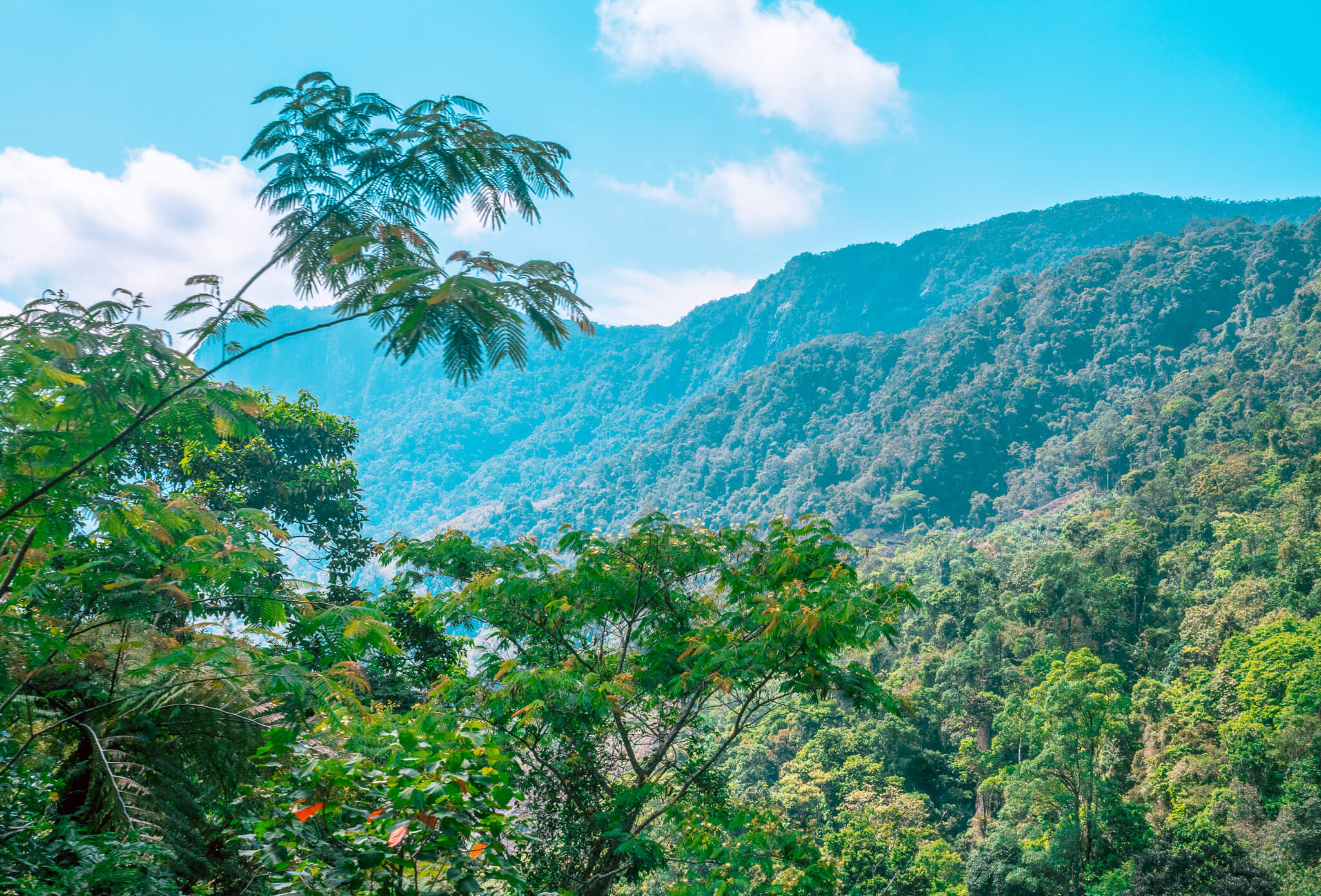 Fianarantsoa Manakara train
