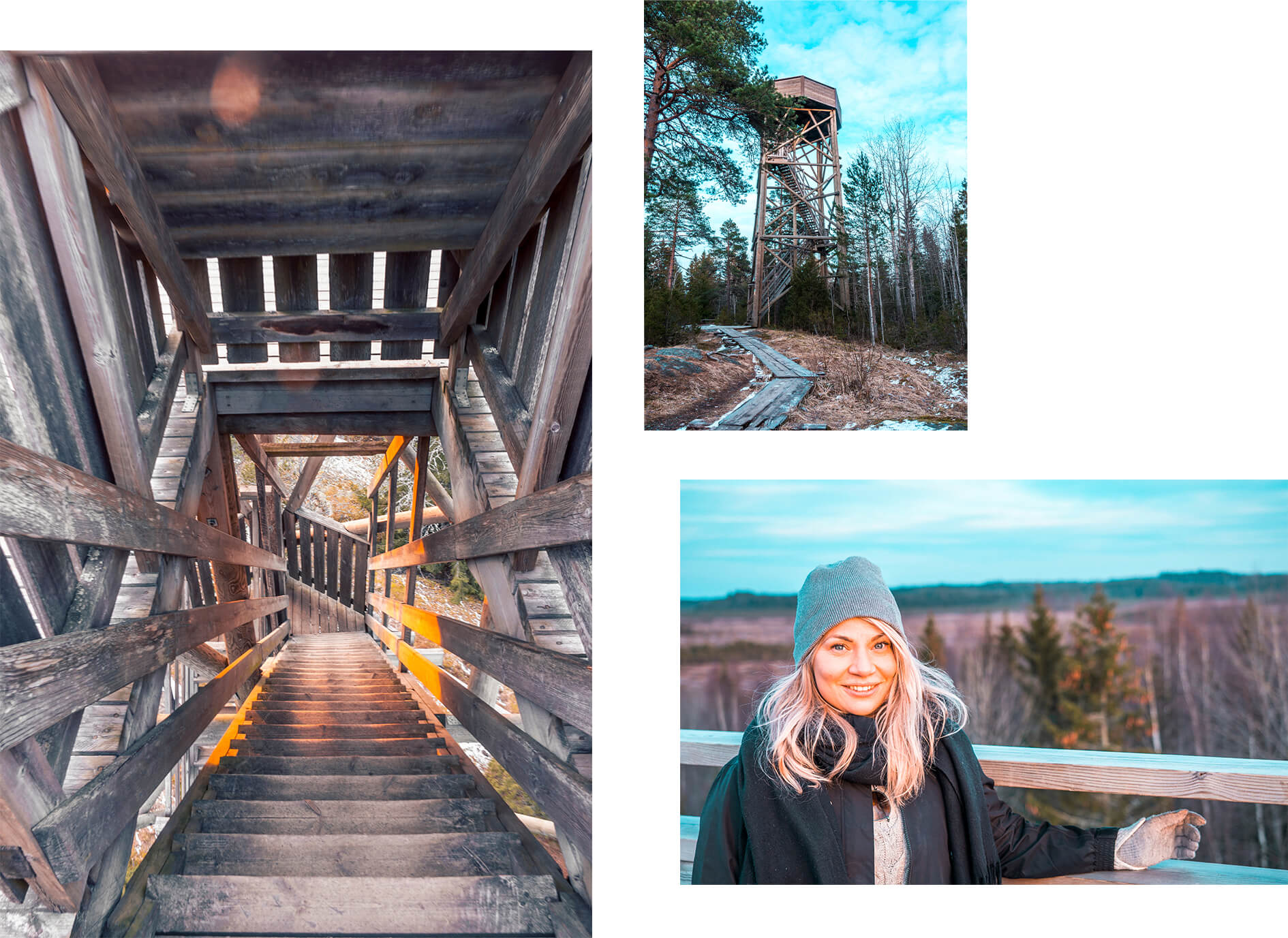 torronsuon kansallispuisto