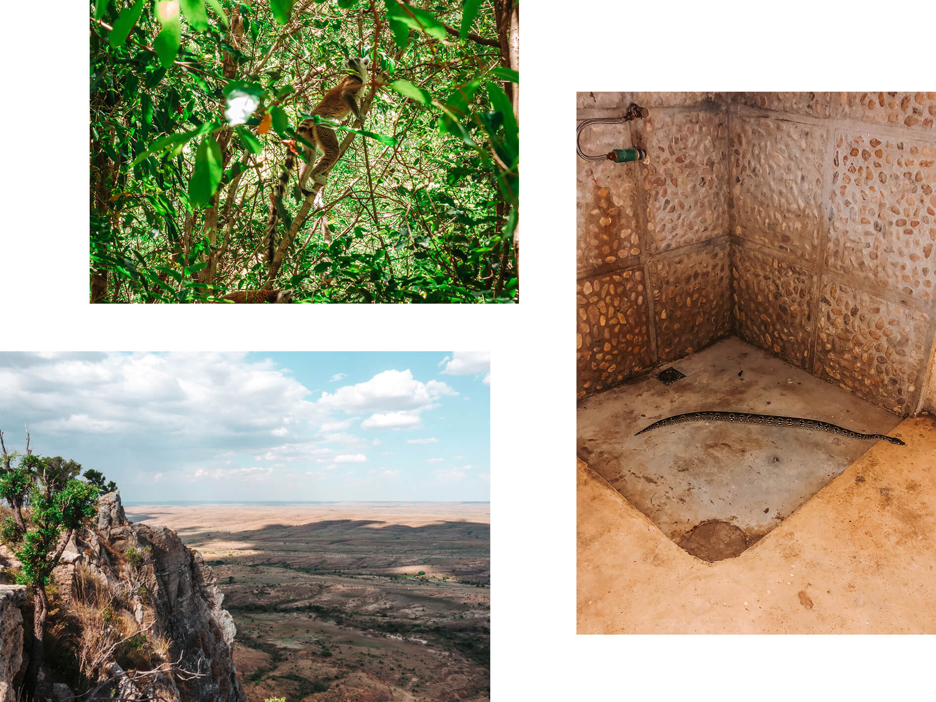 Isalon kansallispuisto