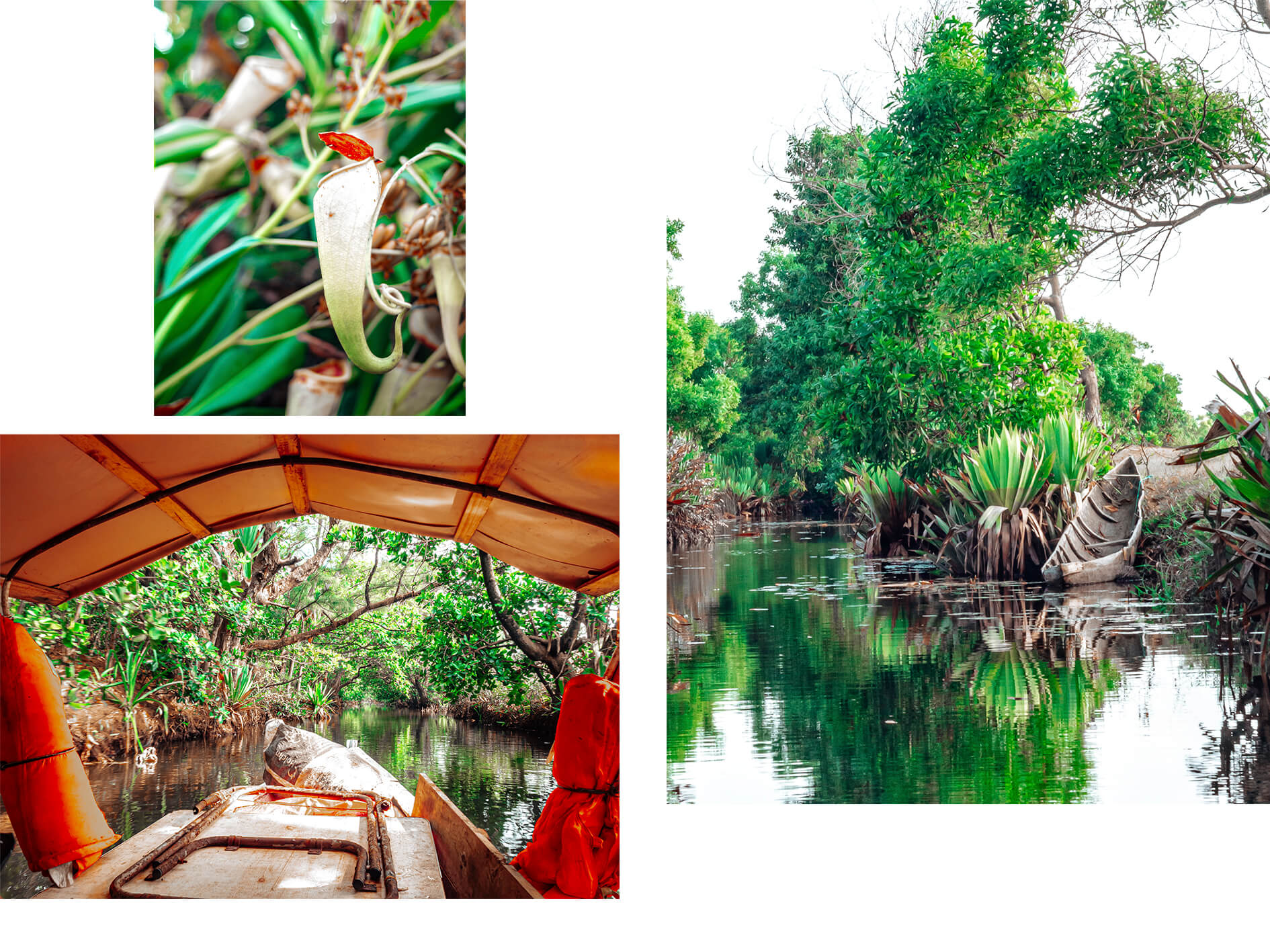 Canal des Pangalanes miljöö 