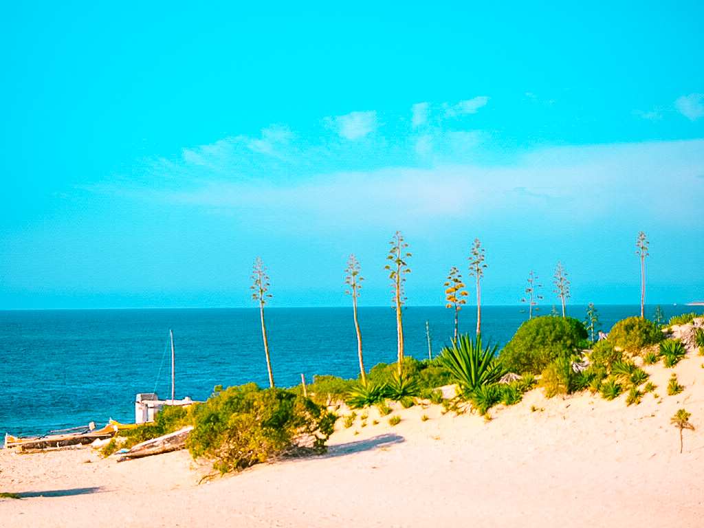 surffaaminen madagaskarilla