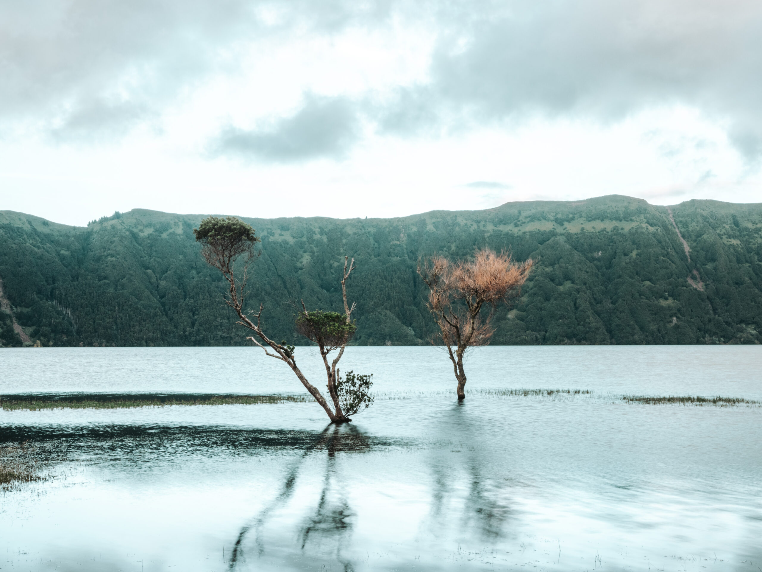 Sao Miguel, Azorit - vinkit SETE CIdADES