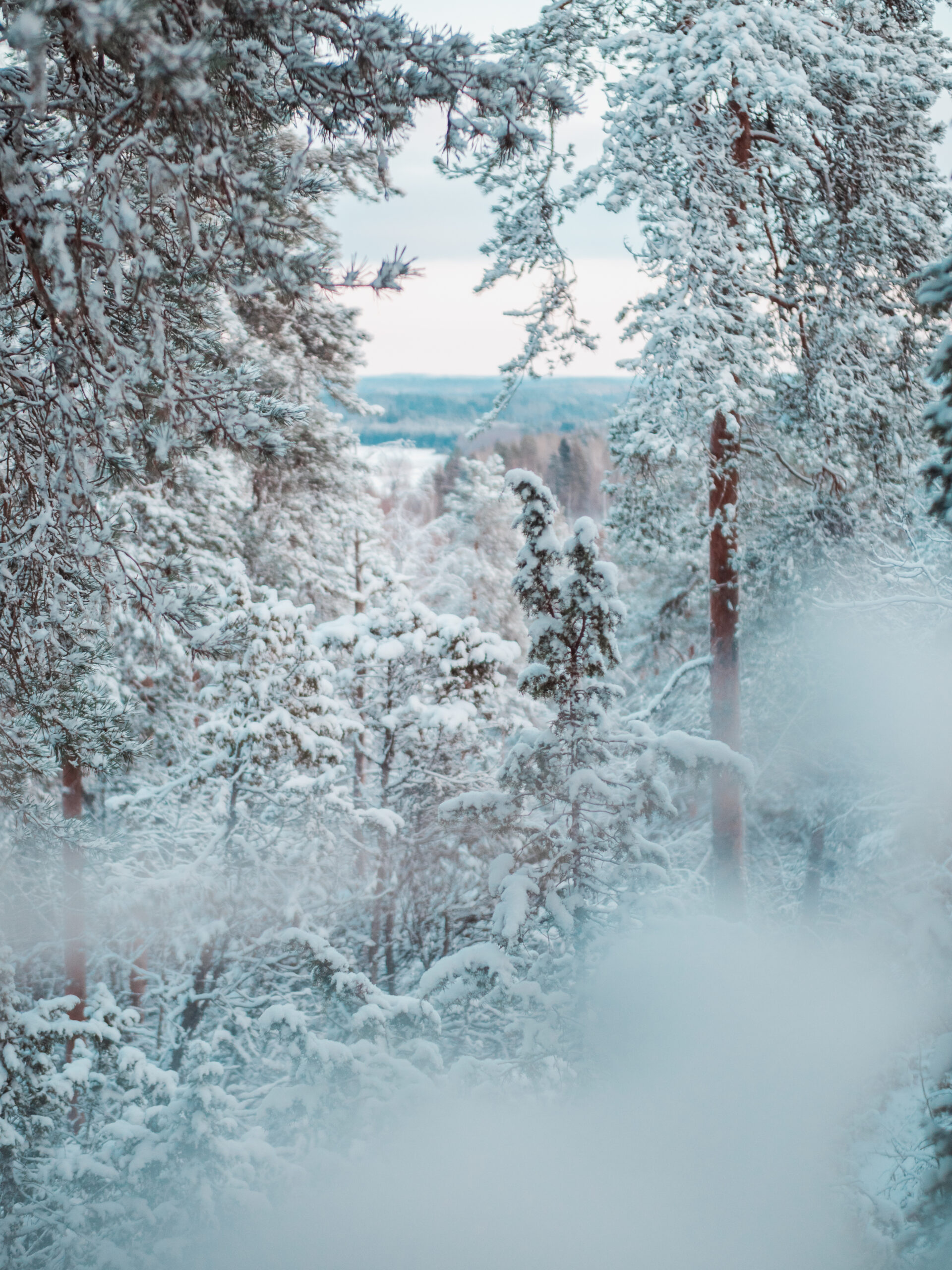 kirvunlinna maisemat pälkäne