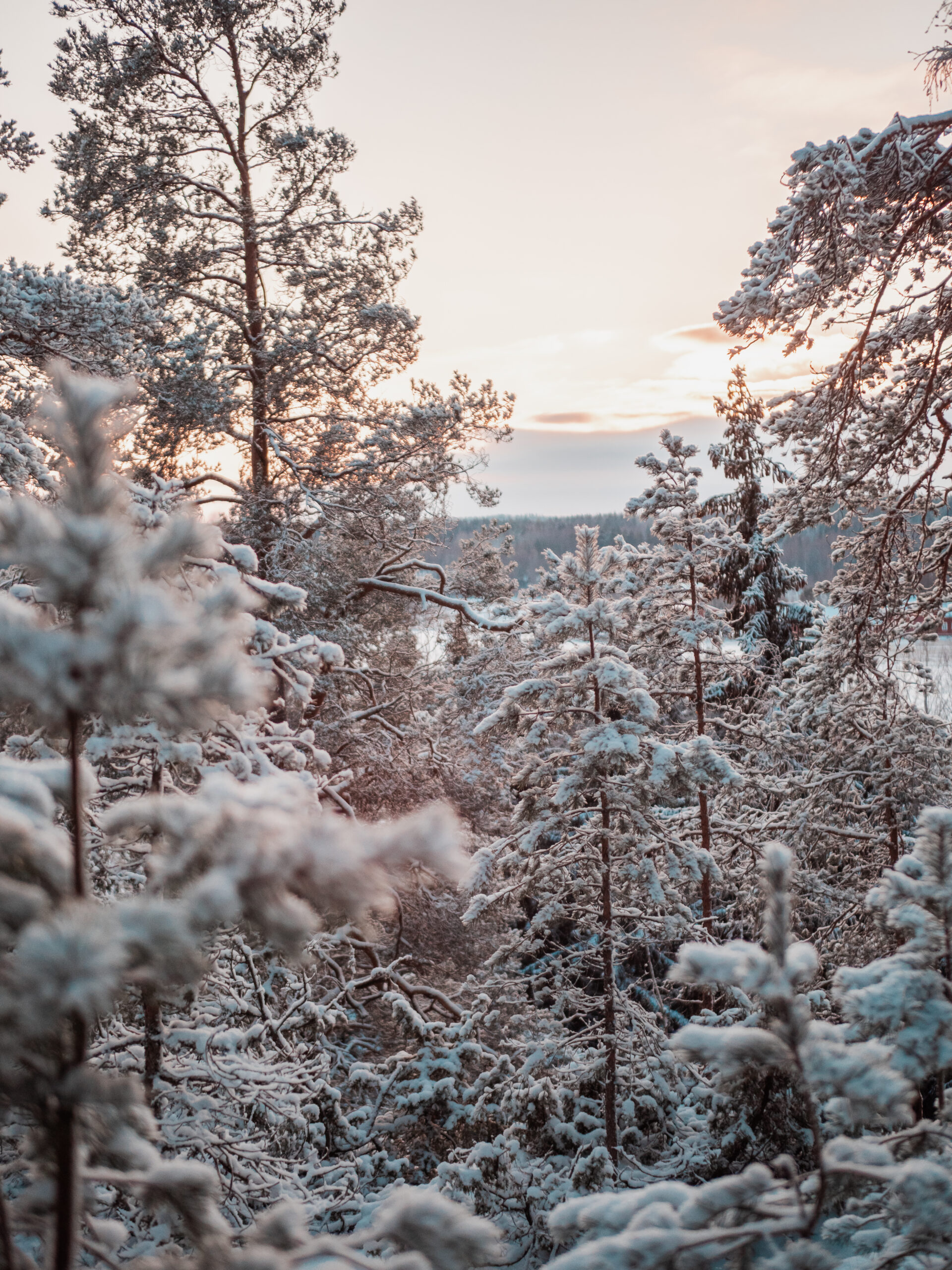 kivun linnavuori maisemat