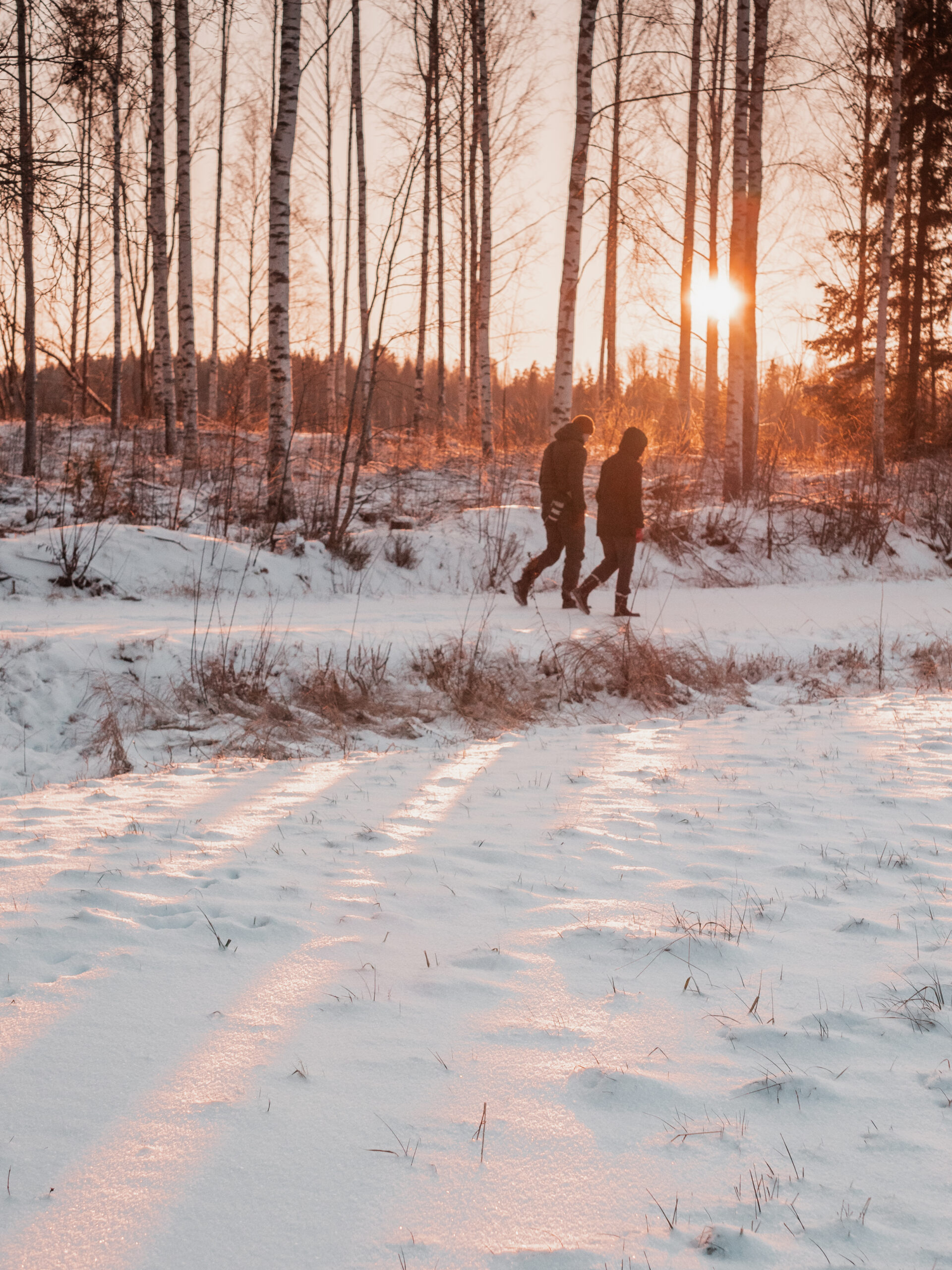 auringonlasku pälkäne