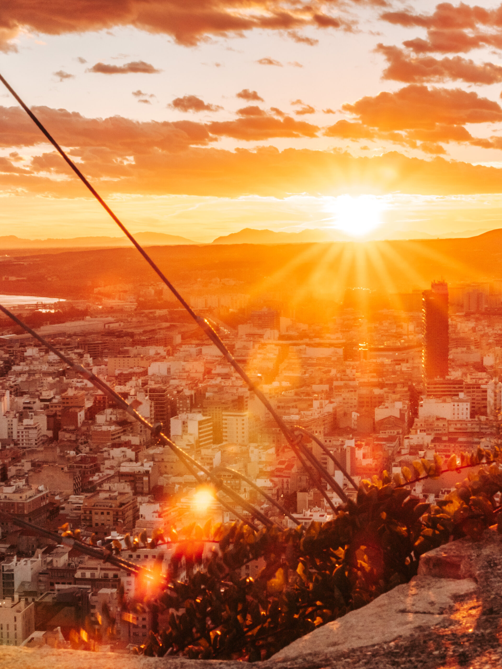 alicante, päiväretki torreviejasta